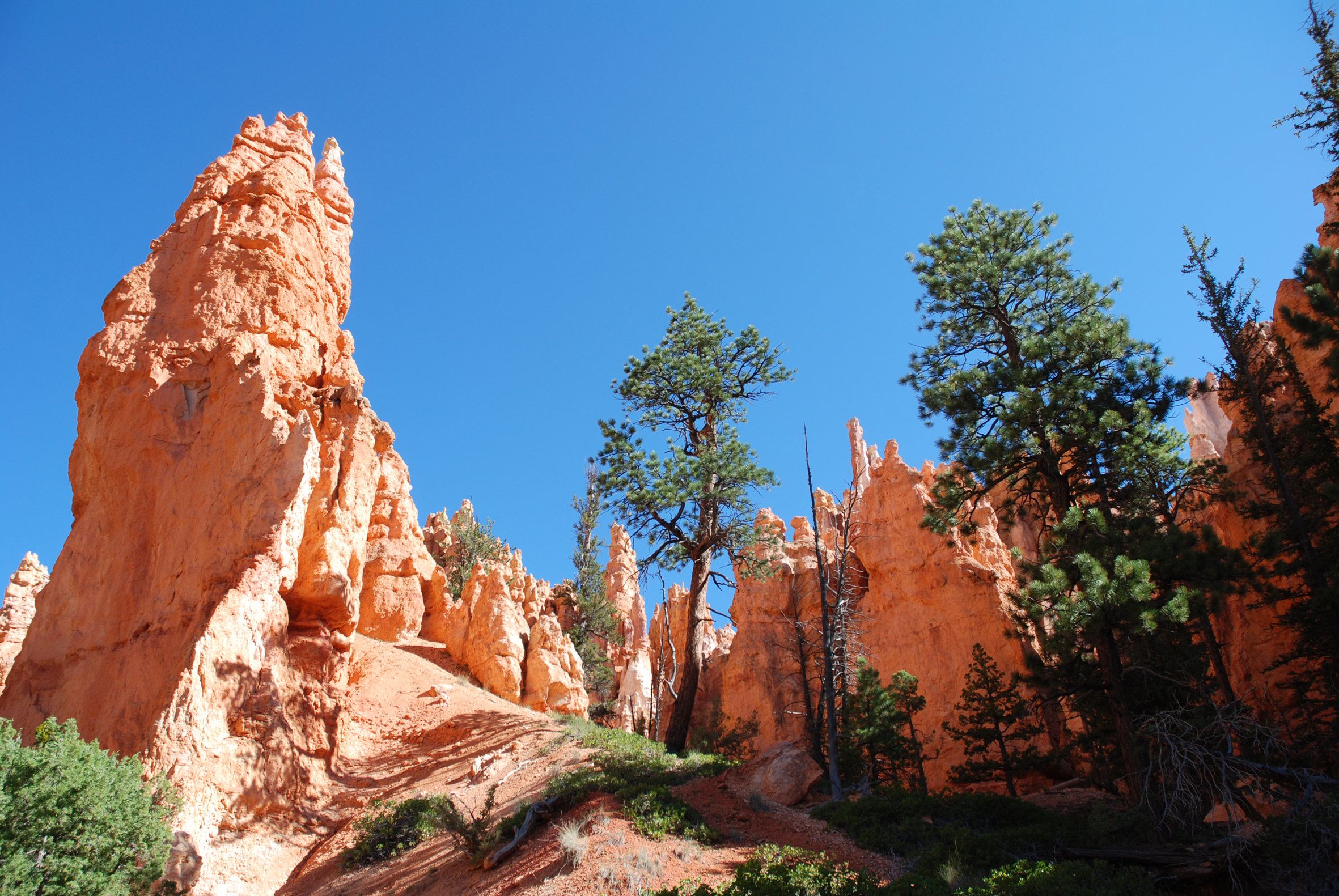 Bryce Canyon - Utah